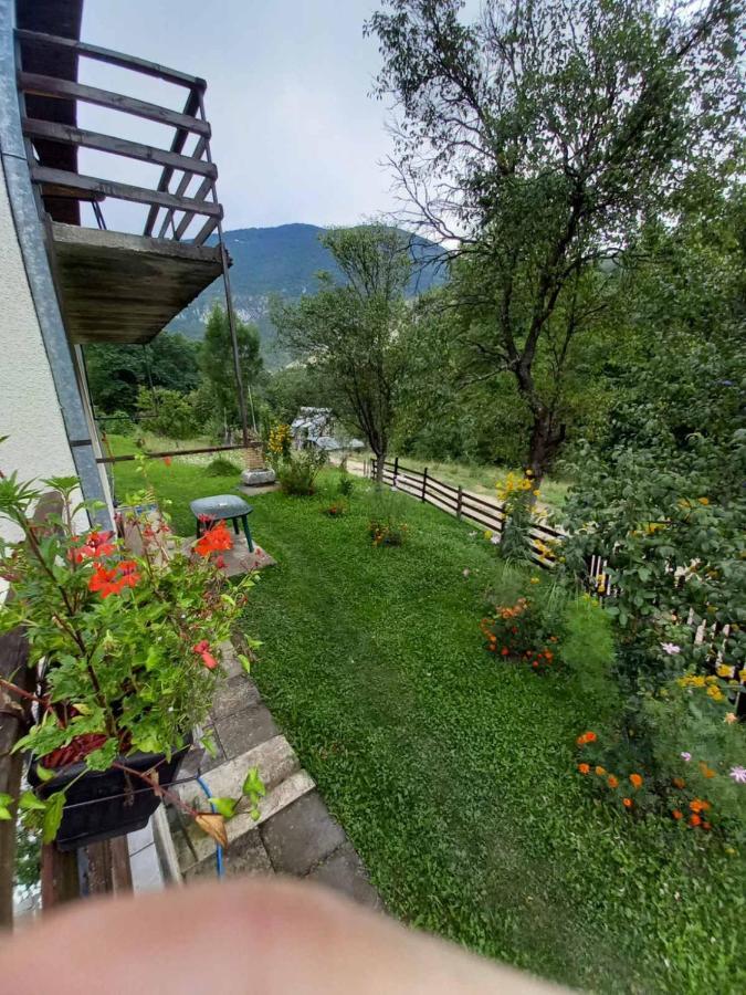 Apartment Sijakovic Mokra Gora Buitenkant foto